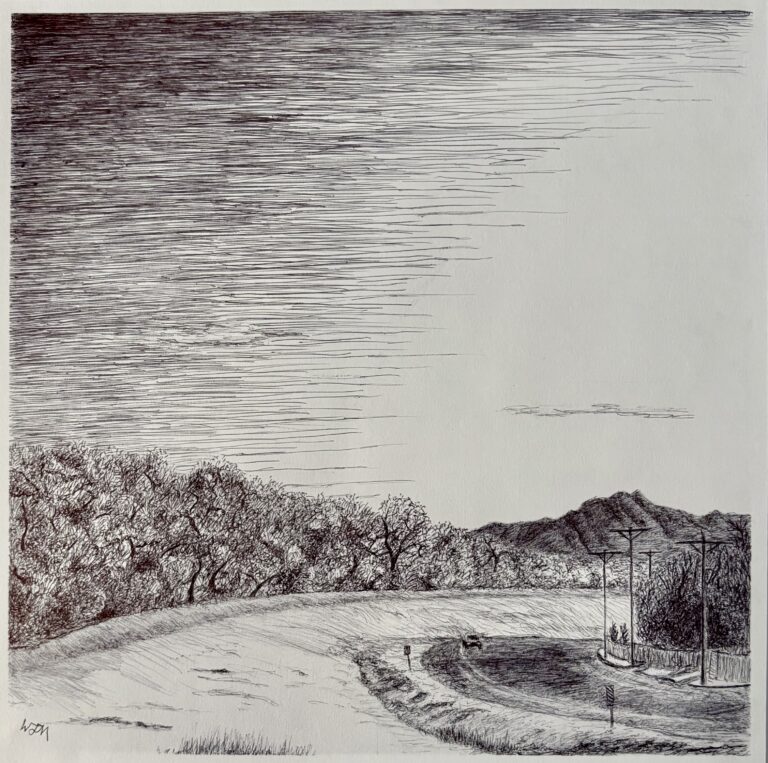 Arcs, 2025
Jason McInnes
ink
12 x 12 inches